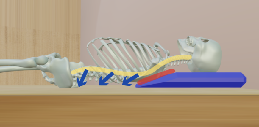 特許技術（特願2025-139550号）に基づくClinical Pillowの調整メカニズム。部材の組み合わせで個別の背部形状に適合させ脱力を誘導する図解。